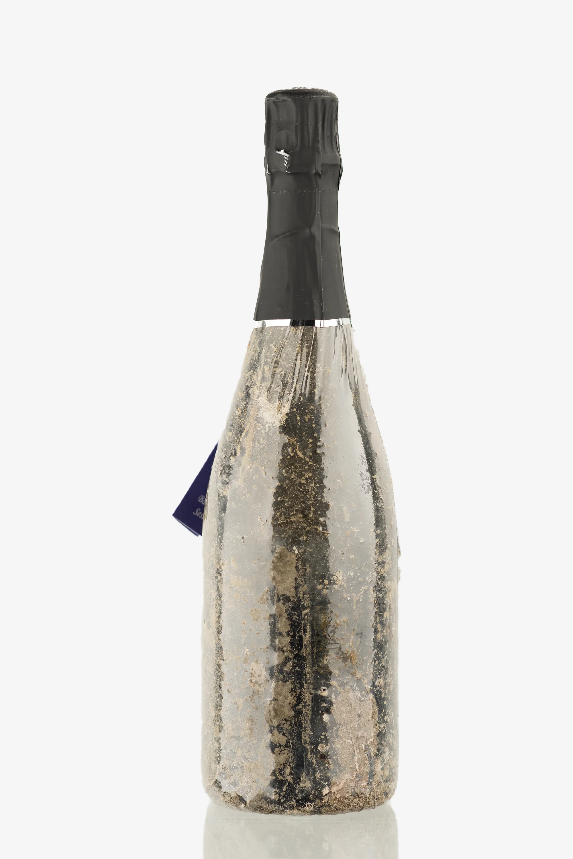 selected wine variant rear image