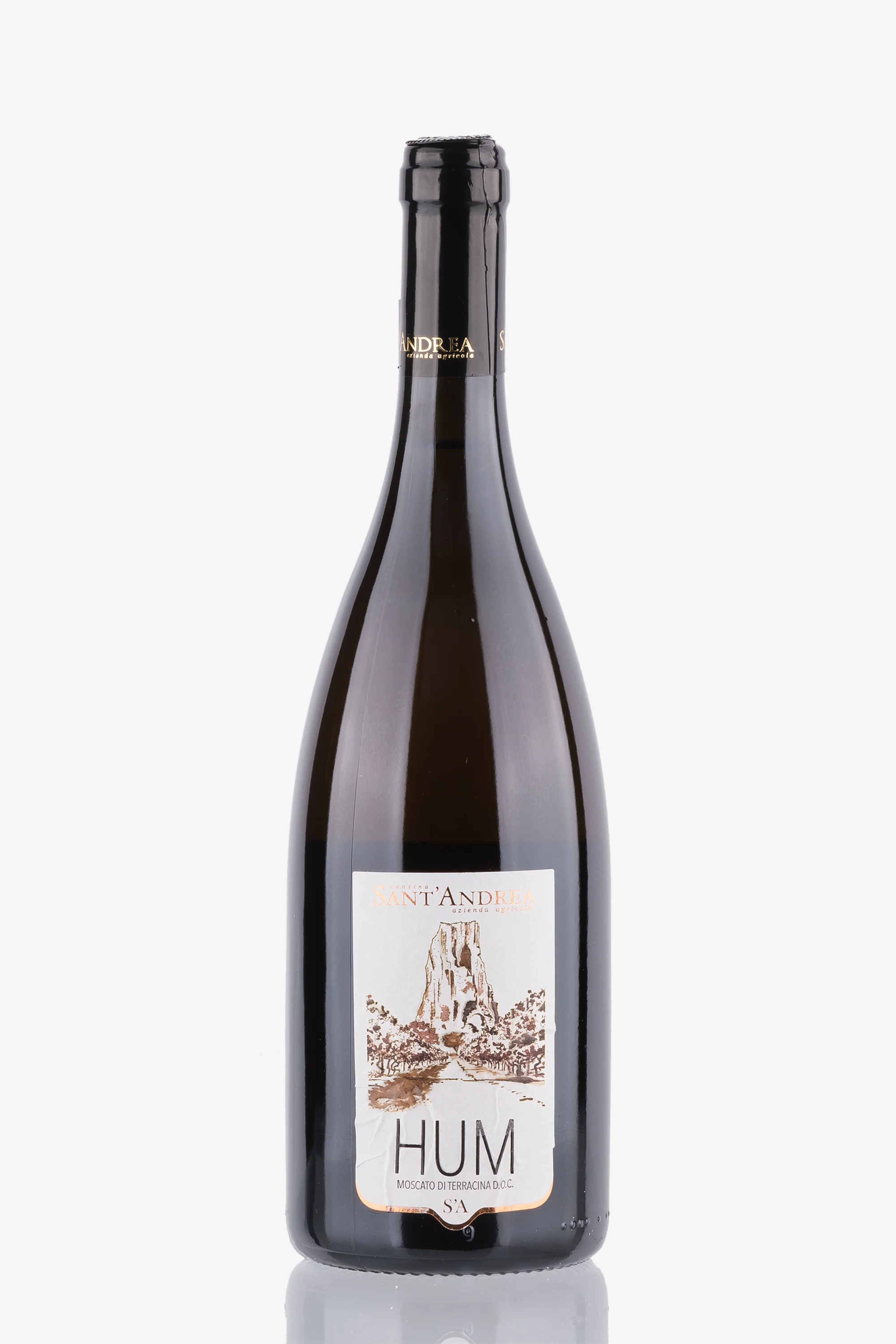 selected wine variant front image