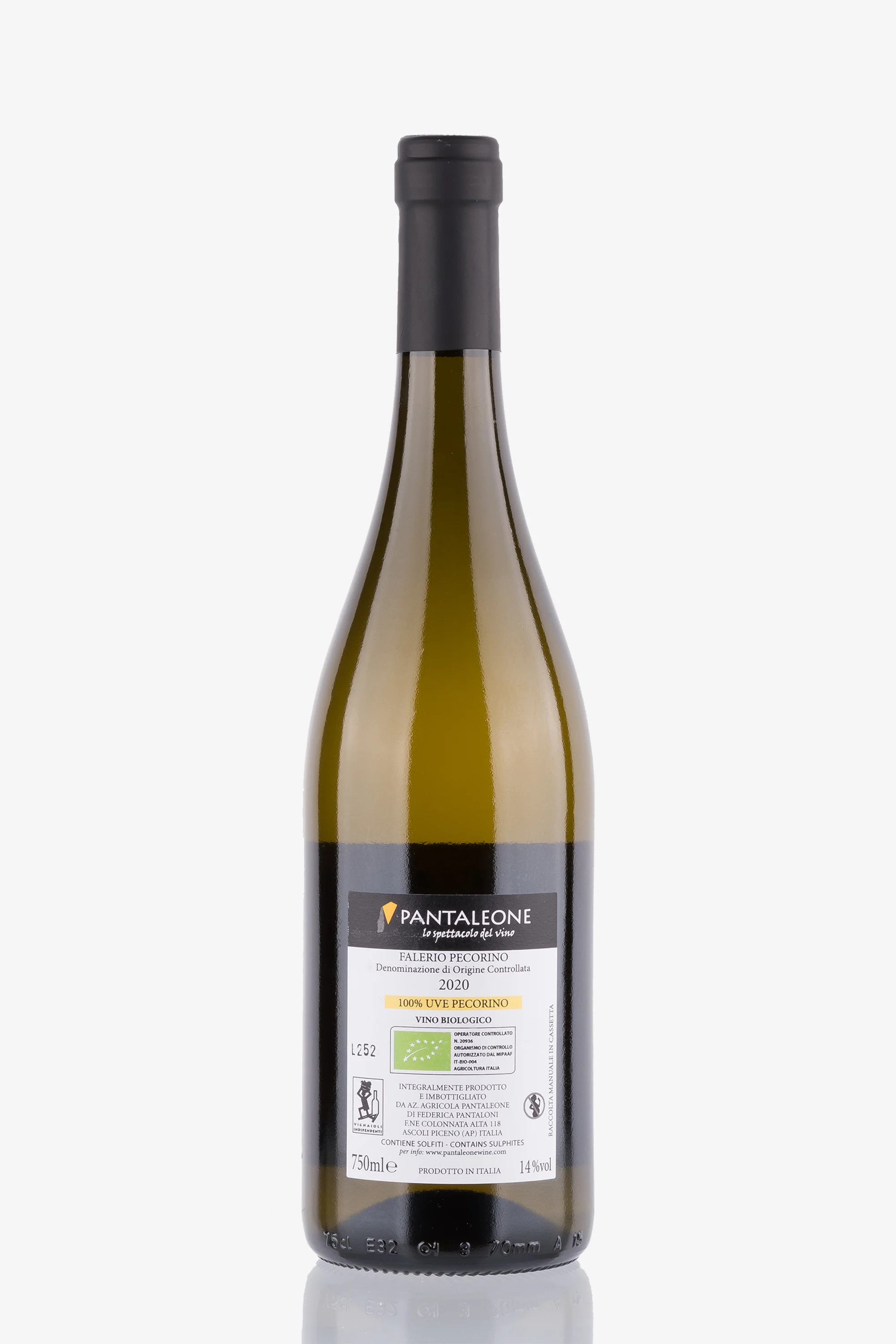 selected wine variant rear image